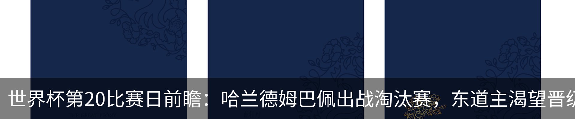 新闻动态