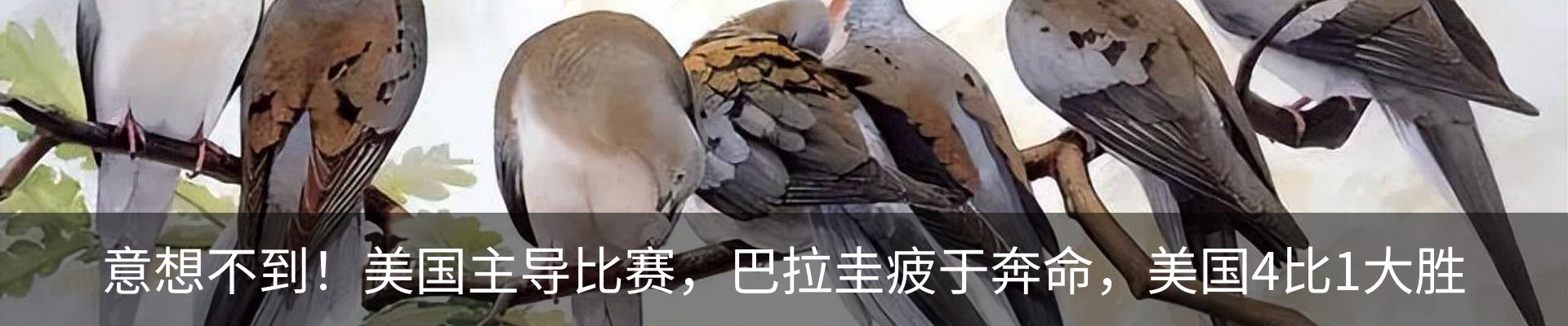 新闻动态