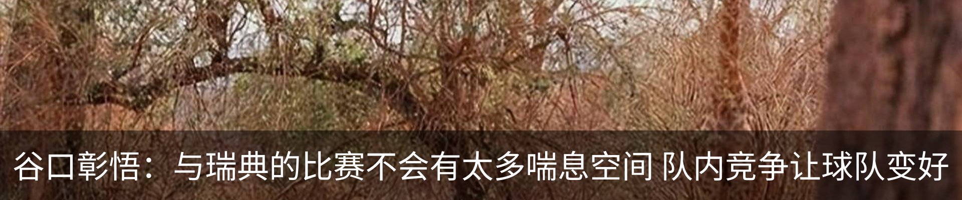 新闻动态