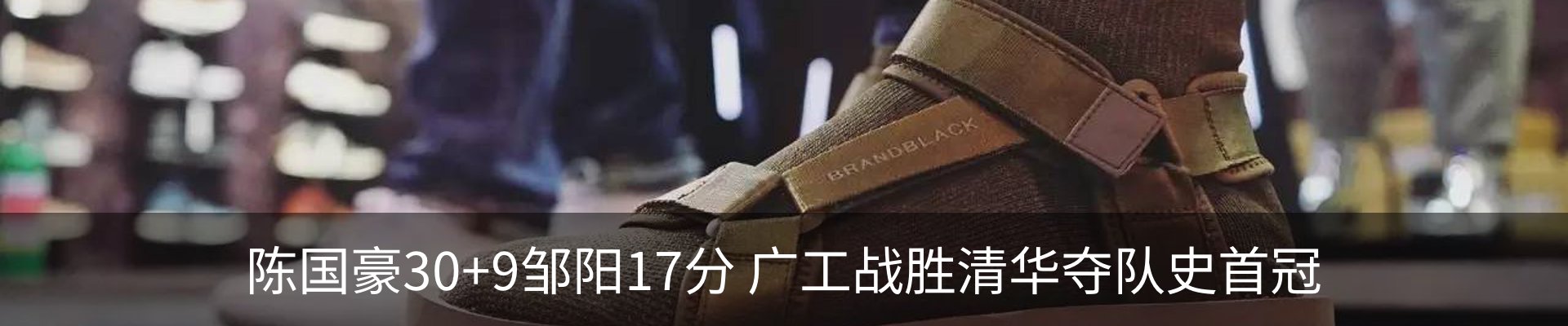 新闻动态