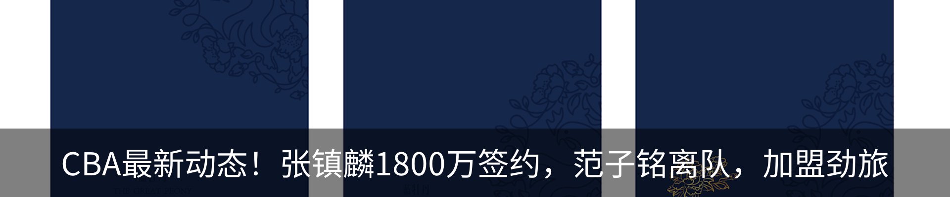 新闻动态